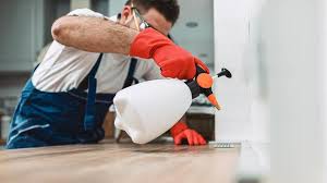 Best Real Estate Pest Inspections  in Evans, CO